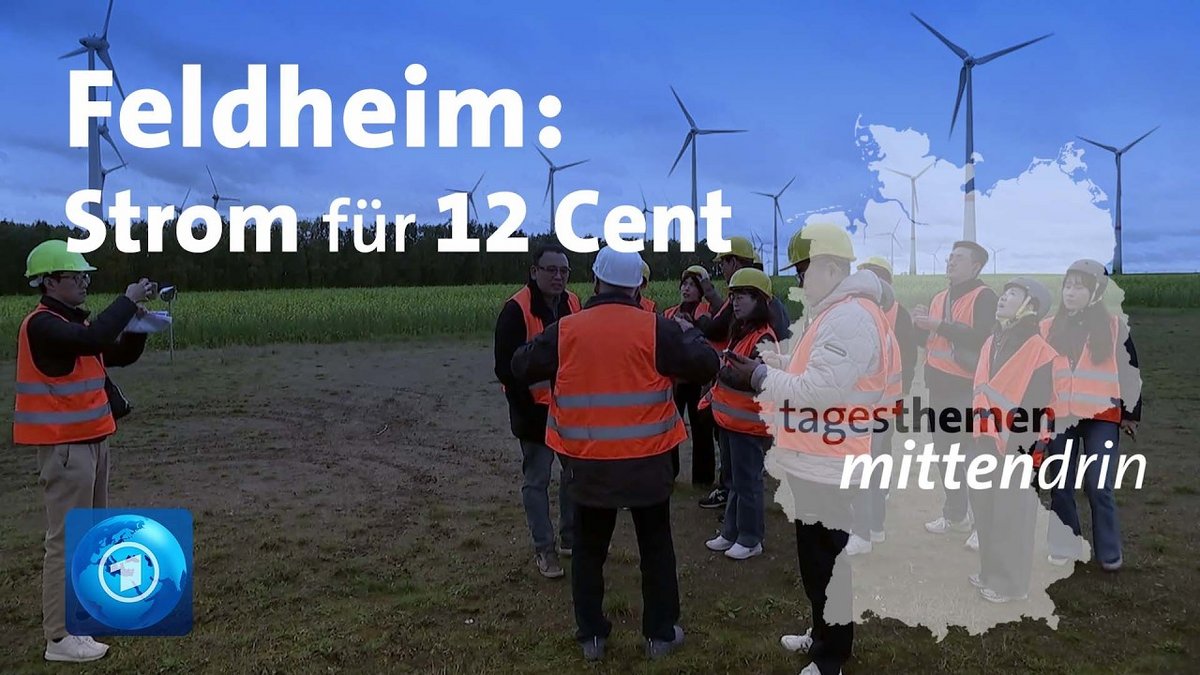 Feldheim: Weltbekannt für seine Energiewende | tagesthemen mittendrin